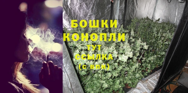 индика Зерноград
