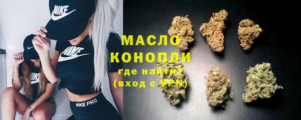 индика Зерноград