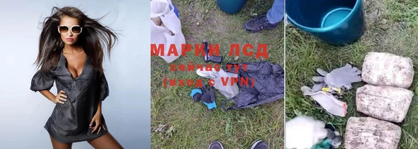 индика Зерноград