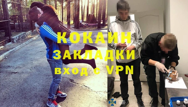 шишки Зеленодольск
