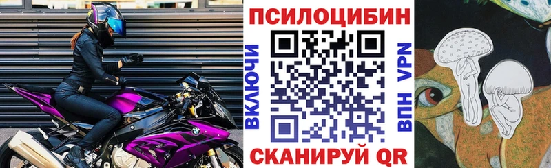 Купить  Можайск  Галлюциногенные грибы мицелий 